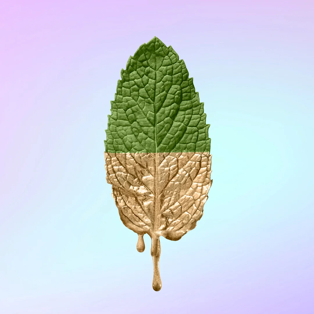 GL_IG_BrandLove_FLAVORDIP_v01_M.jpg