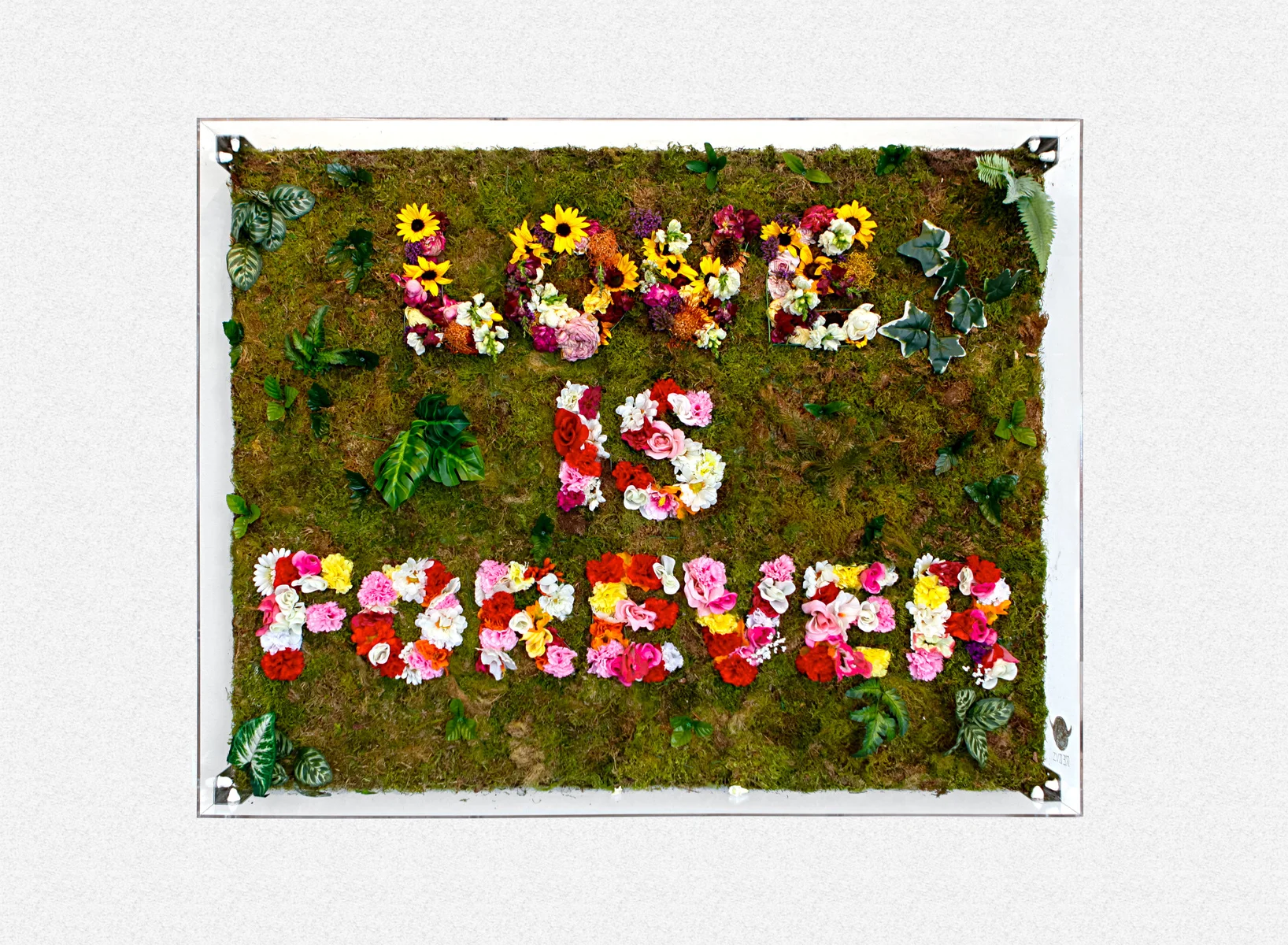 Love is Forever