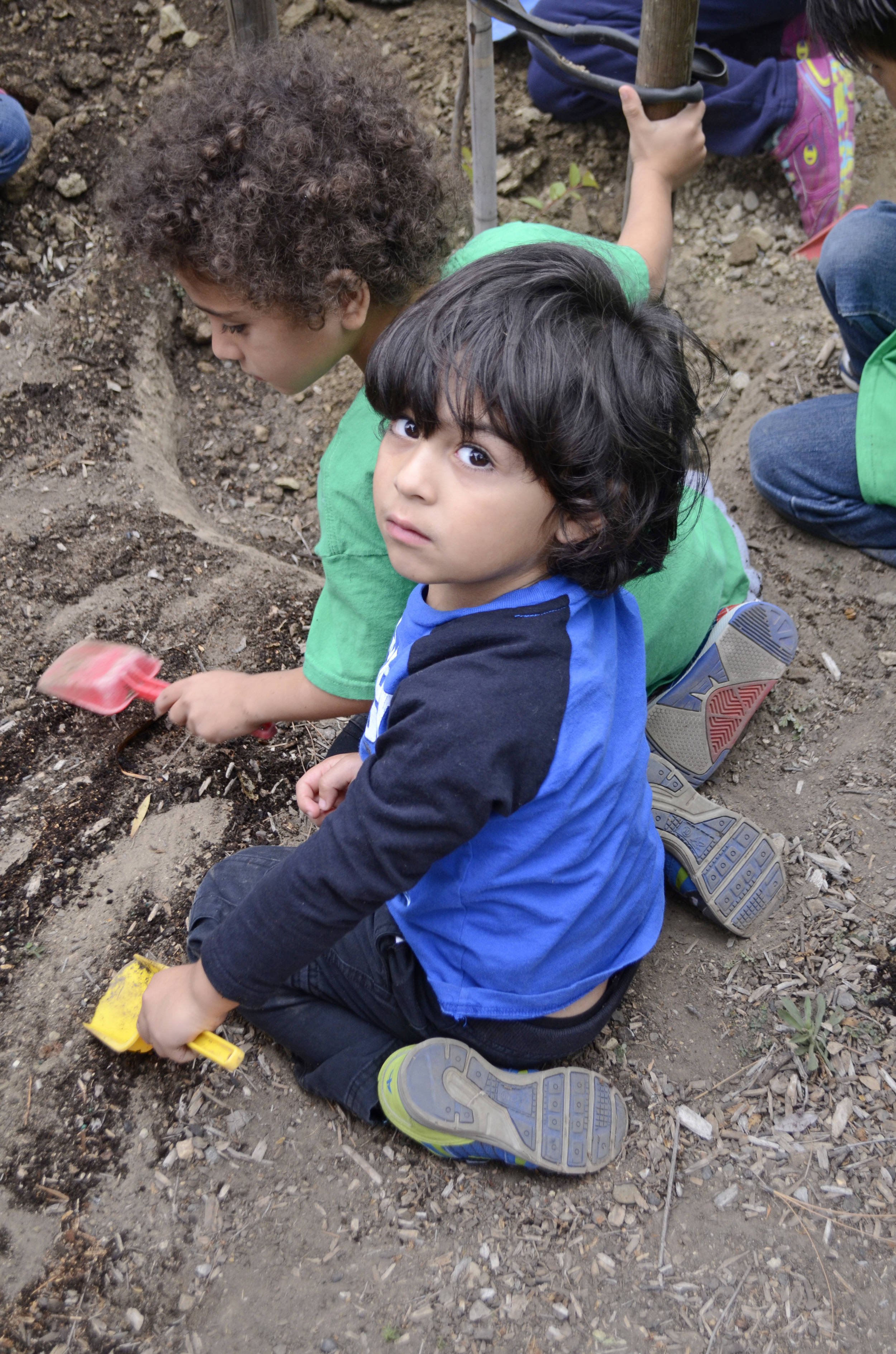 SLester_TreePlanting6.jpg