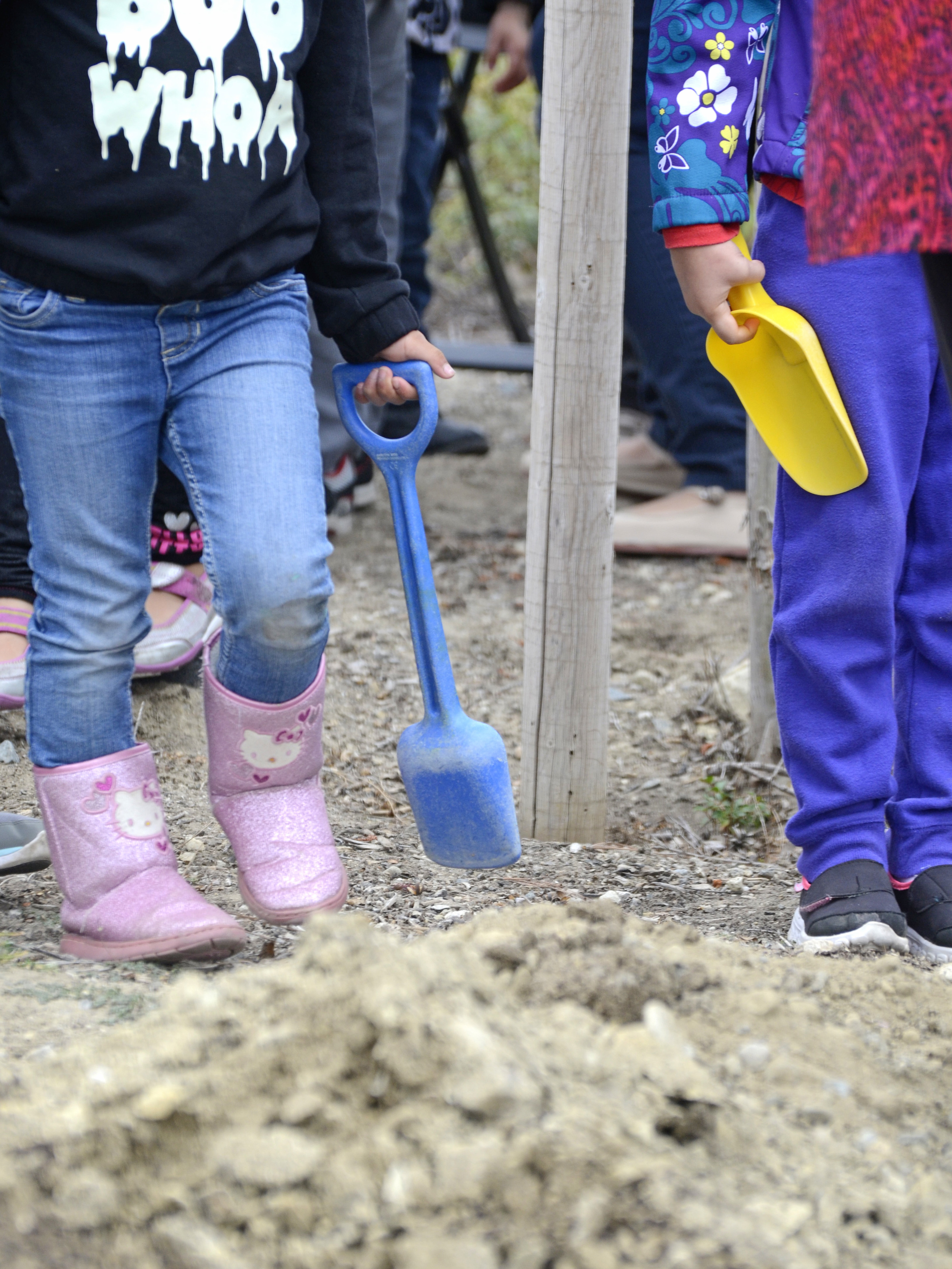 SLester_TreePlanting8.jpg