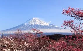 bca_countries_japan.jpg