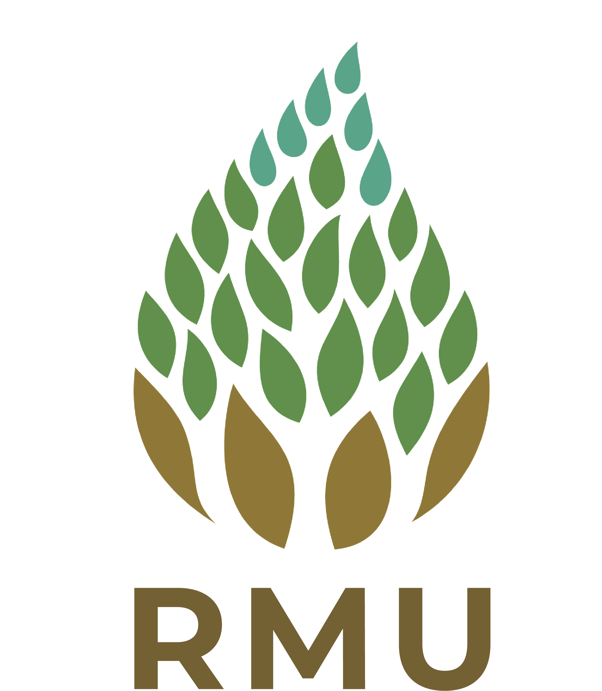 PT Rimba Makmur Utama - Certified B Corporation in Indonesia