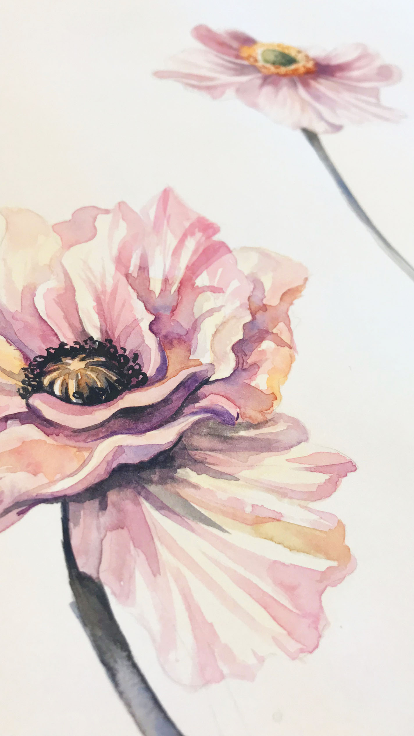 Artwork detail for 'Poppy Fields' from H&amp;M Conscious Collection Spring 2019