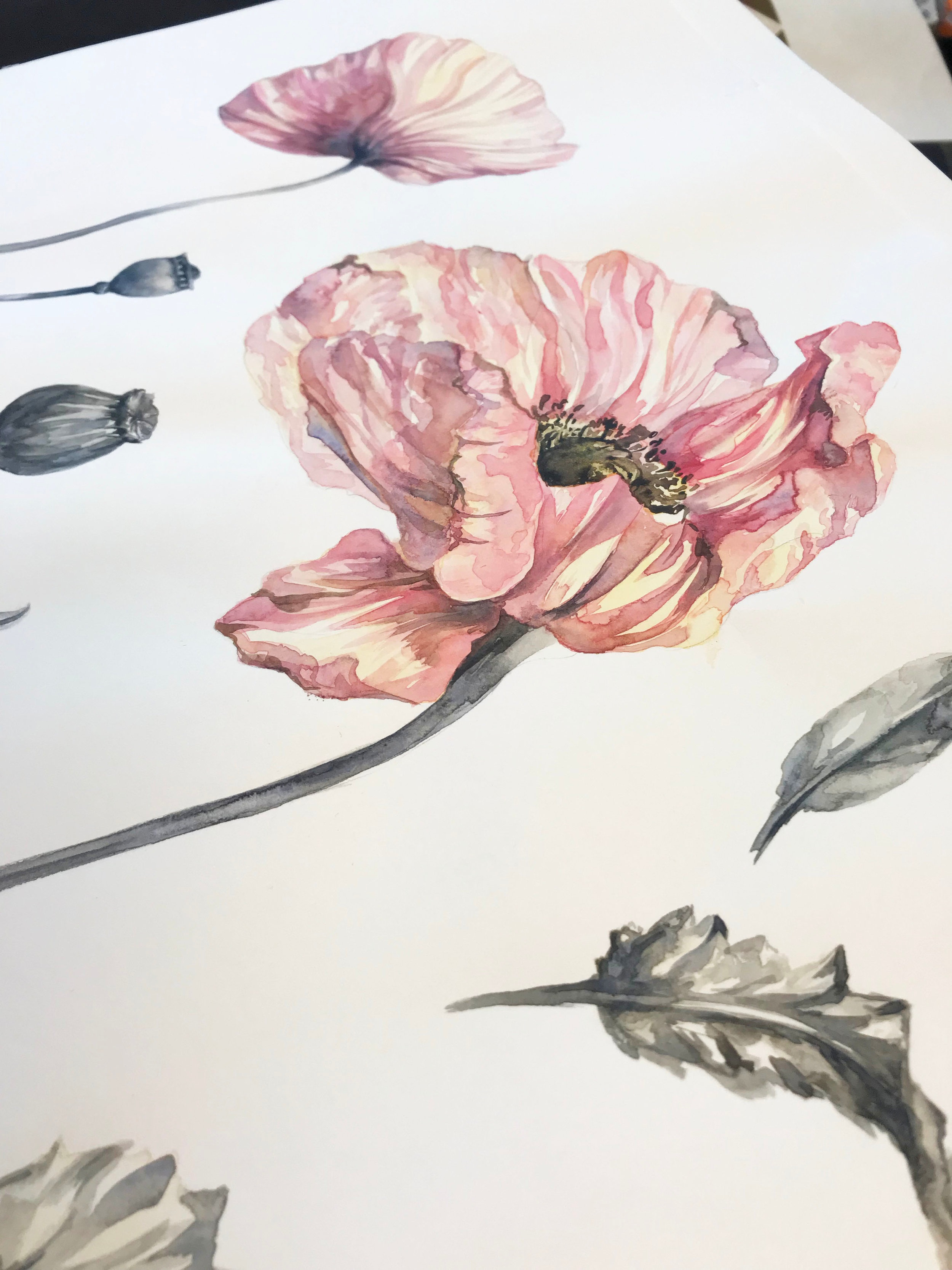 Artwork detail for 'Poppy Fields' from H&amp;M Conscious Collection Spring 2019