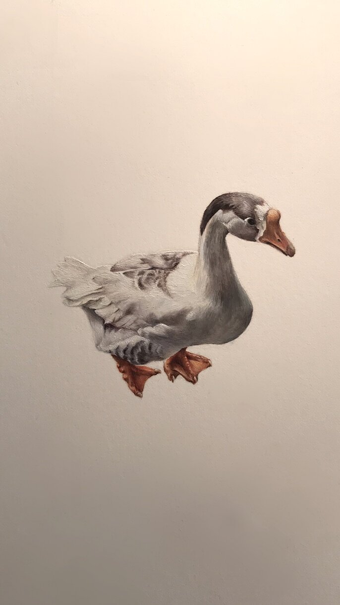Goose - Oil on paper - 10.5 x 15.8cm