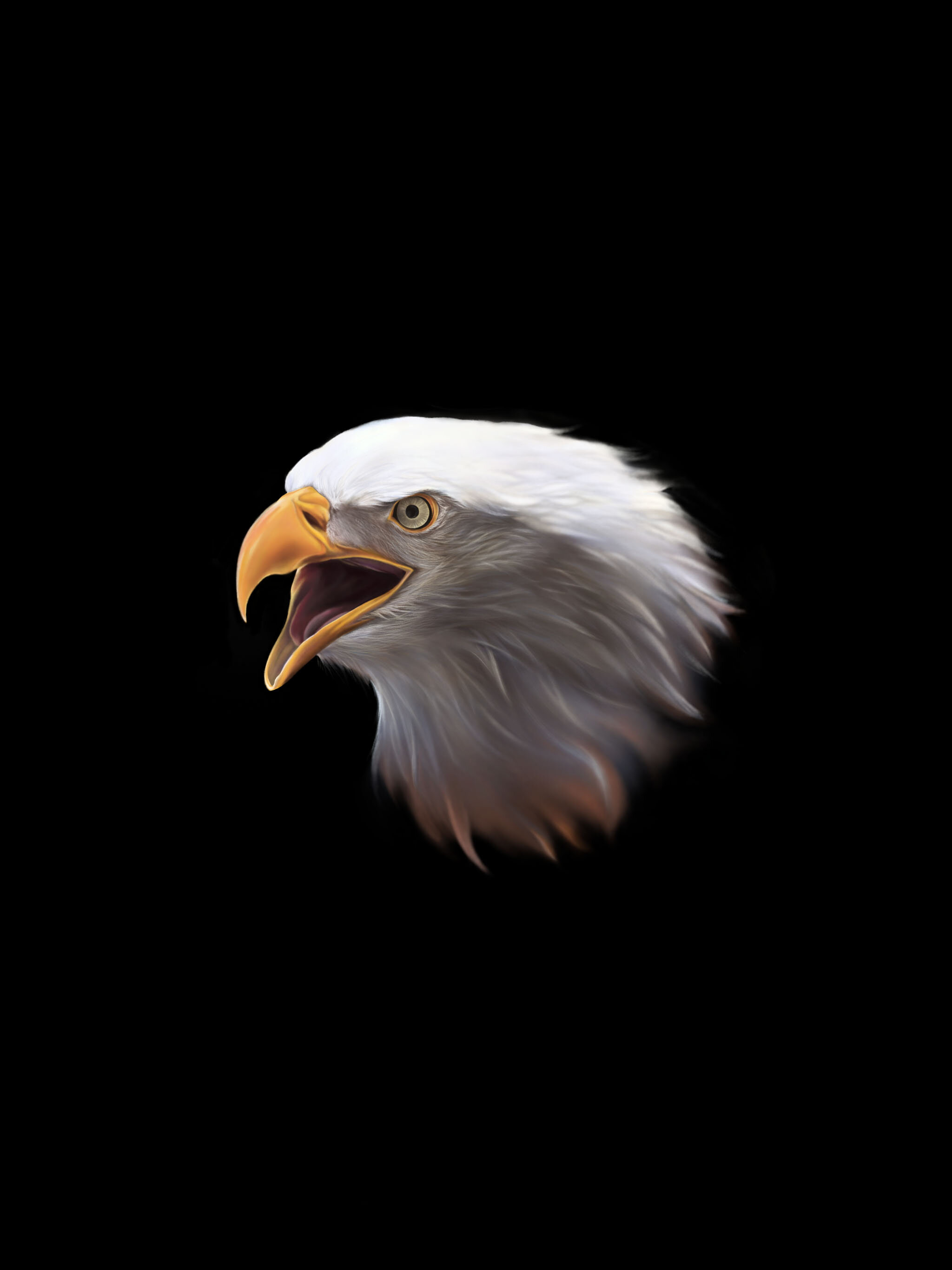 Eagle - Digital Illustration using Procreate