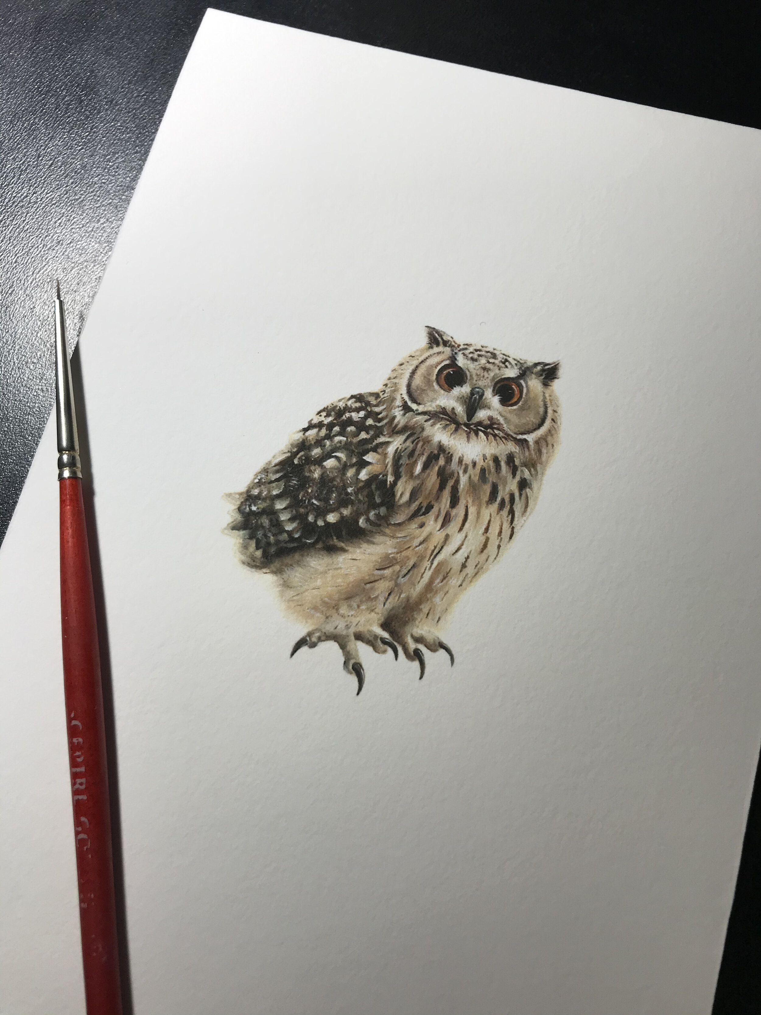 Owl - Oil on paper - 10.8 cm x 15.2 cm