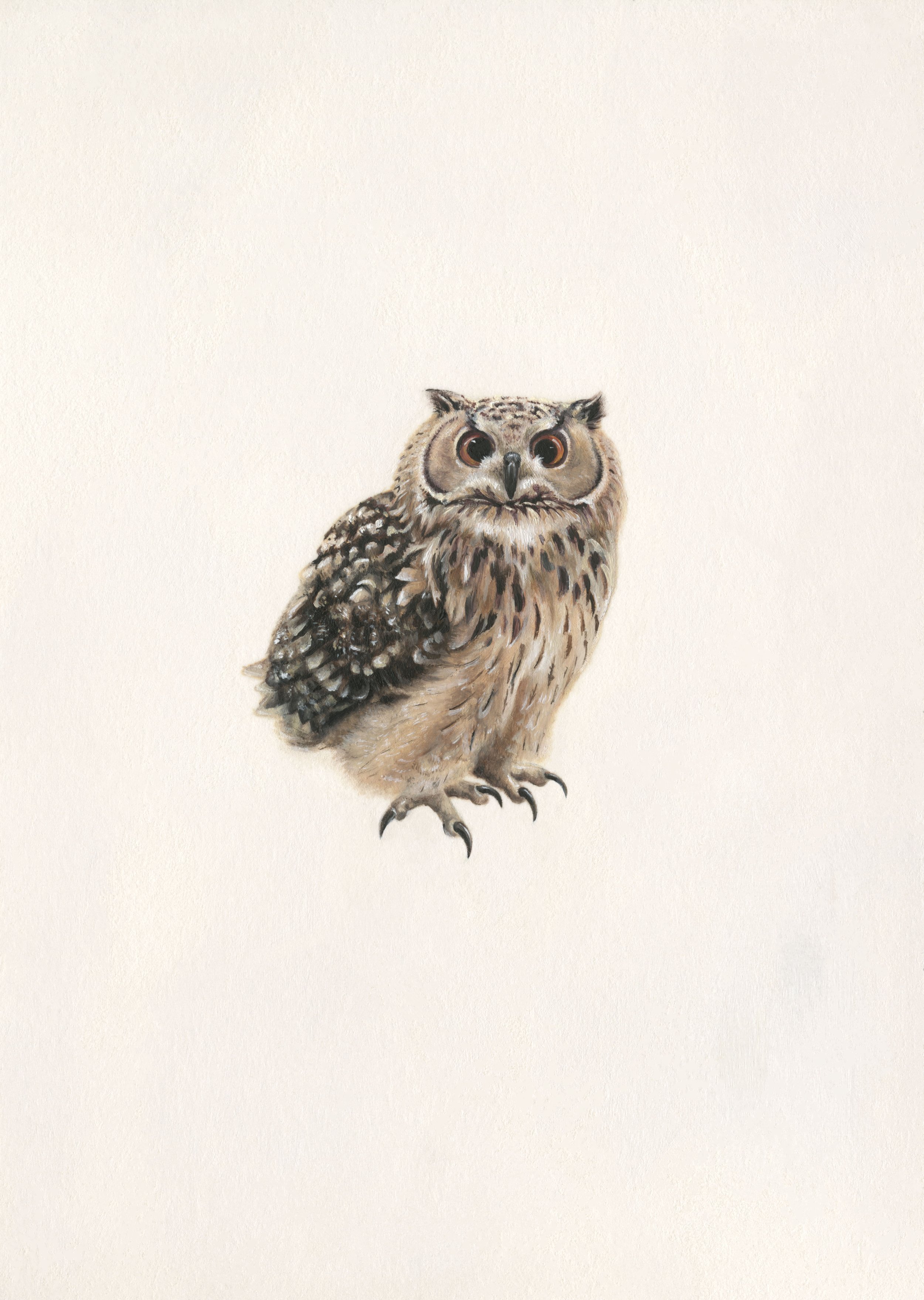 Owl - 10.5 x 5.8 cm - Giclée print on Hahnmüle photo rag 308 gm