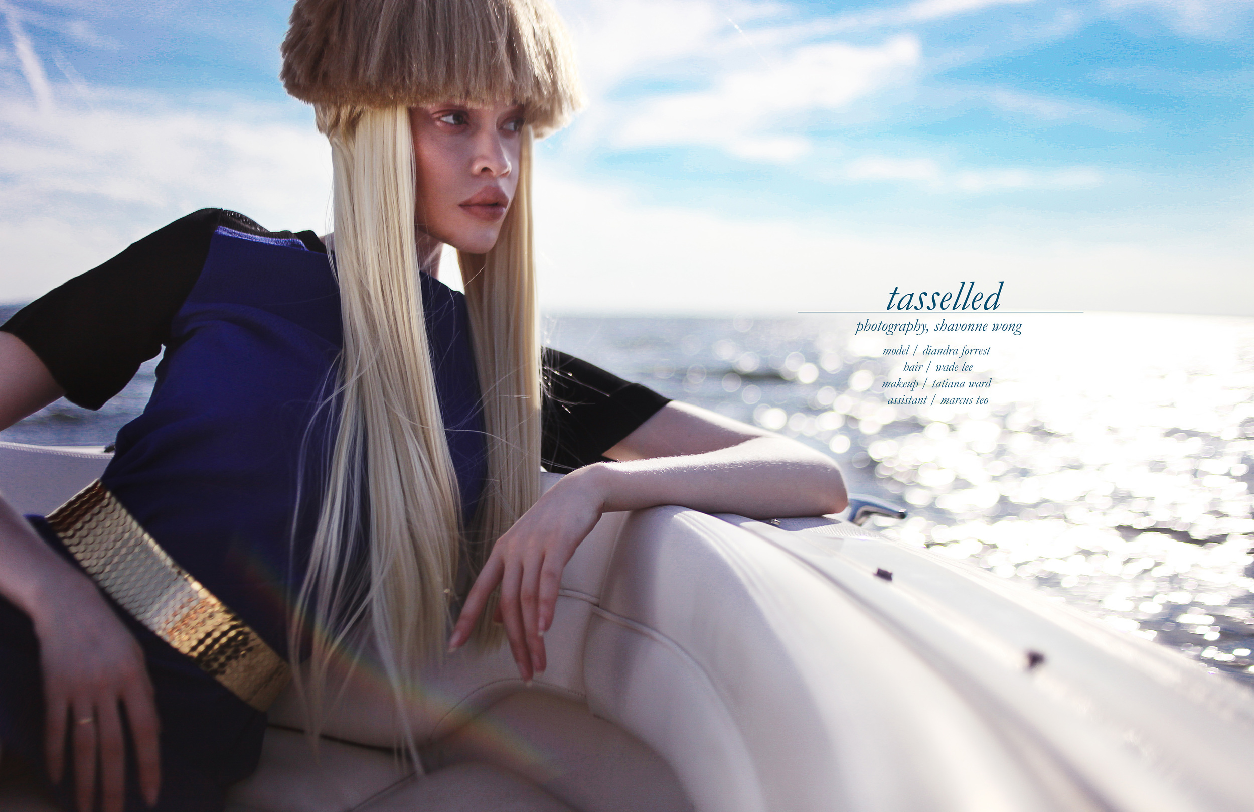diandra-spread_0000_Layer Comp 1