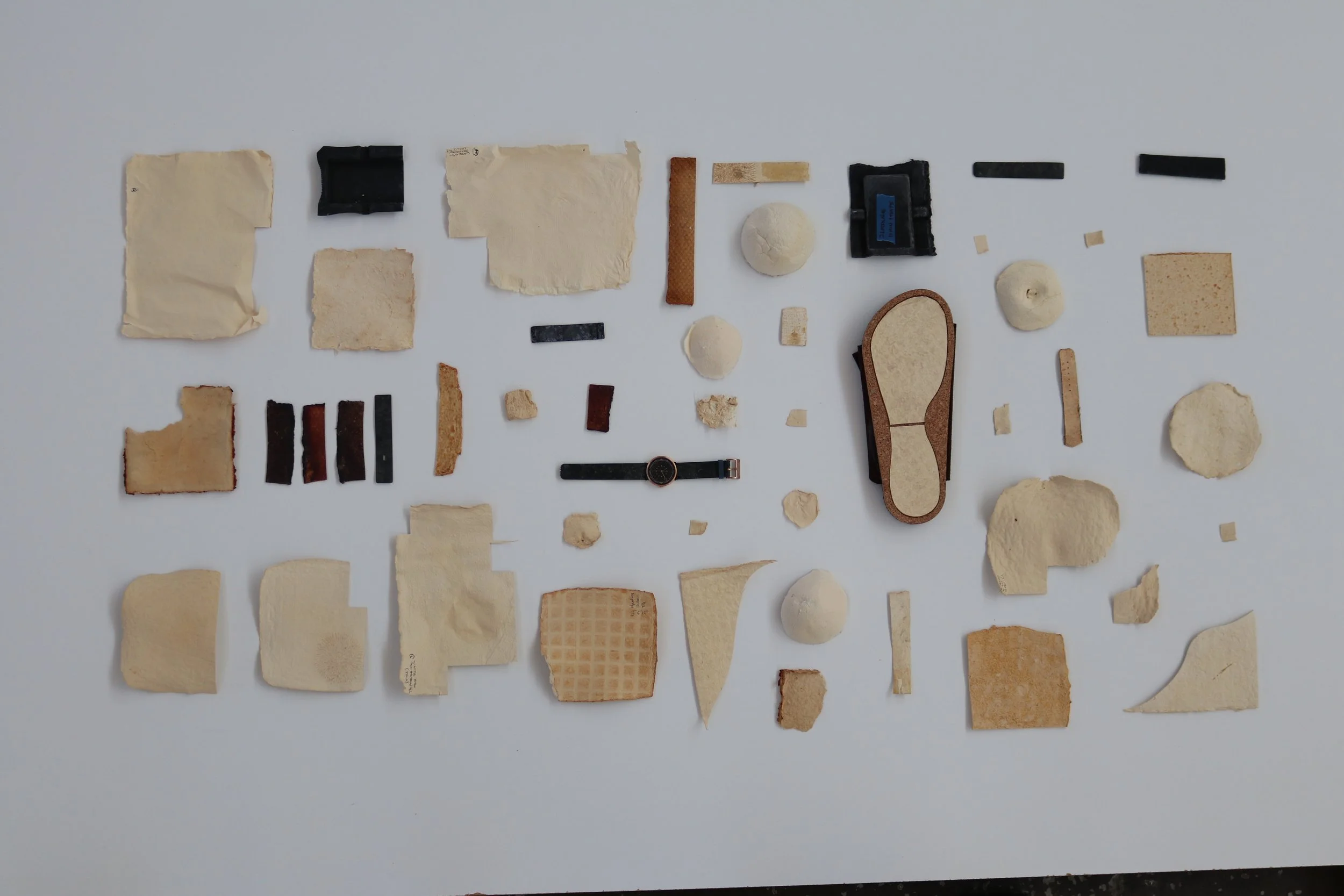  description of the image - many pieces laid out on a white background. 