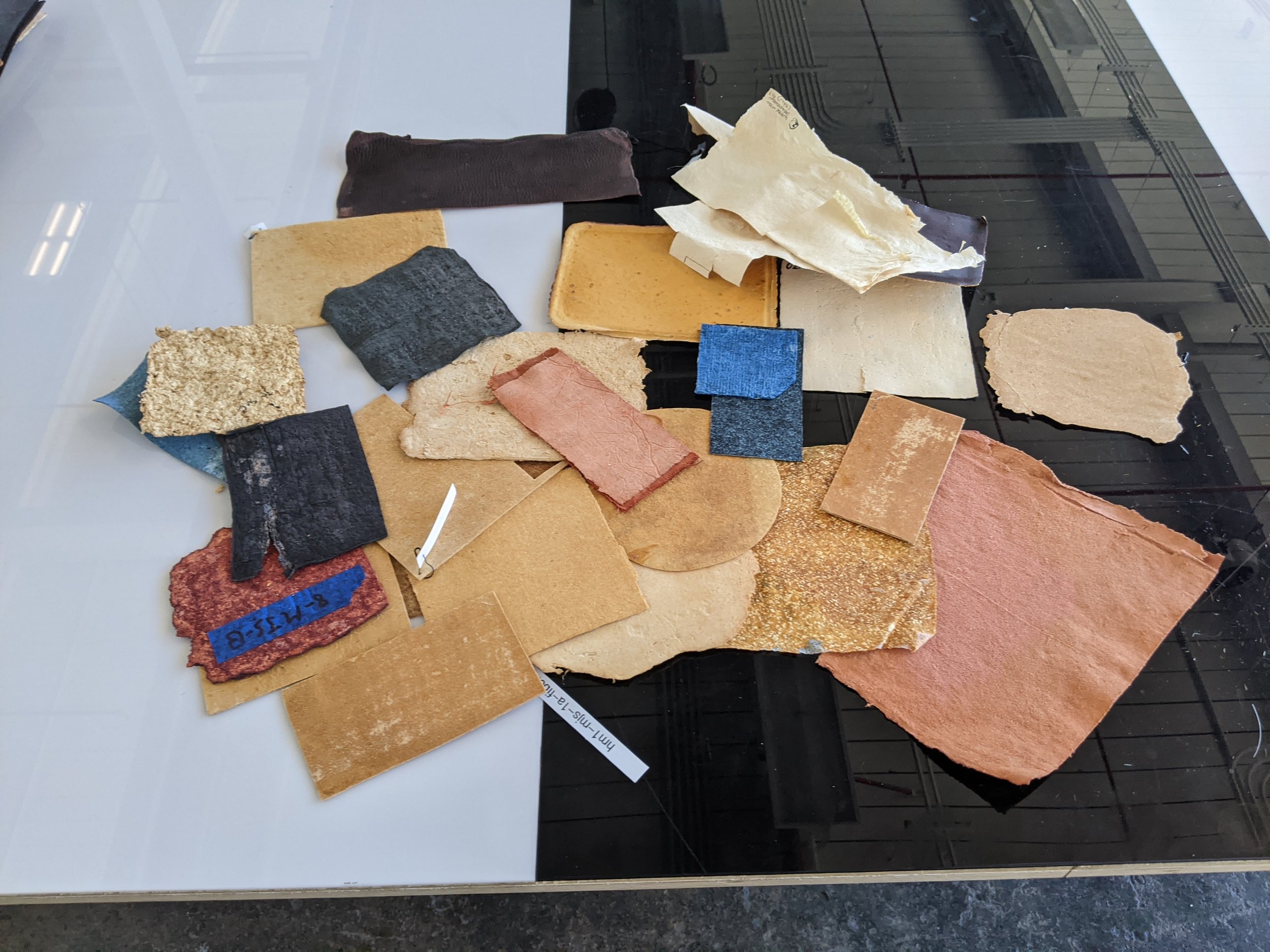  first gen samples 