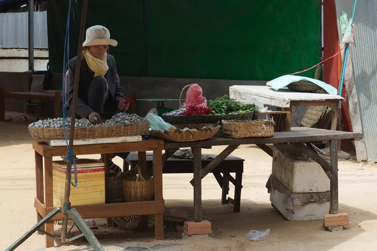 2010_1126+Siem+Reap_# +copy+copy.jpg