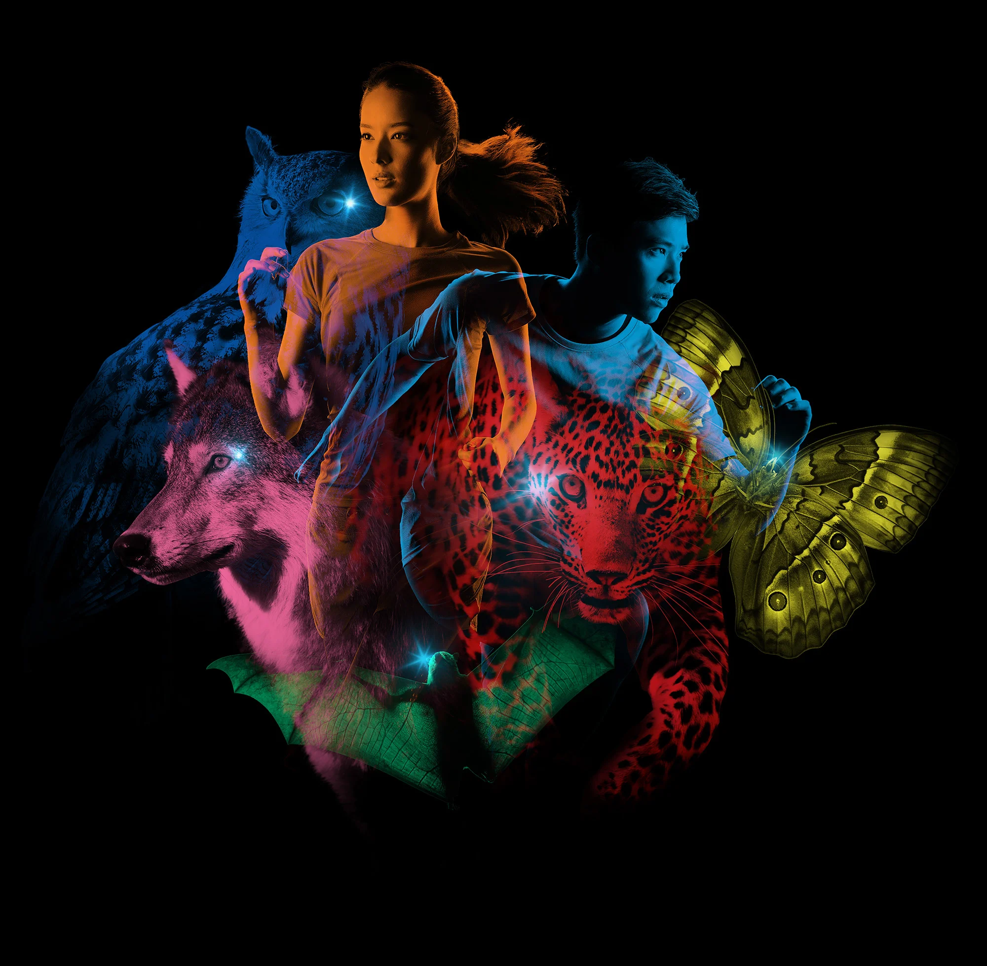 Commercial image for Orbis 盲俠行