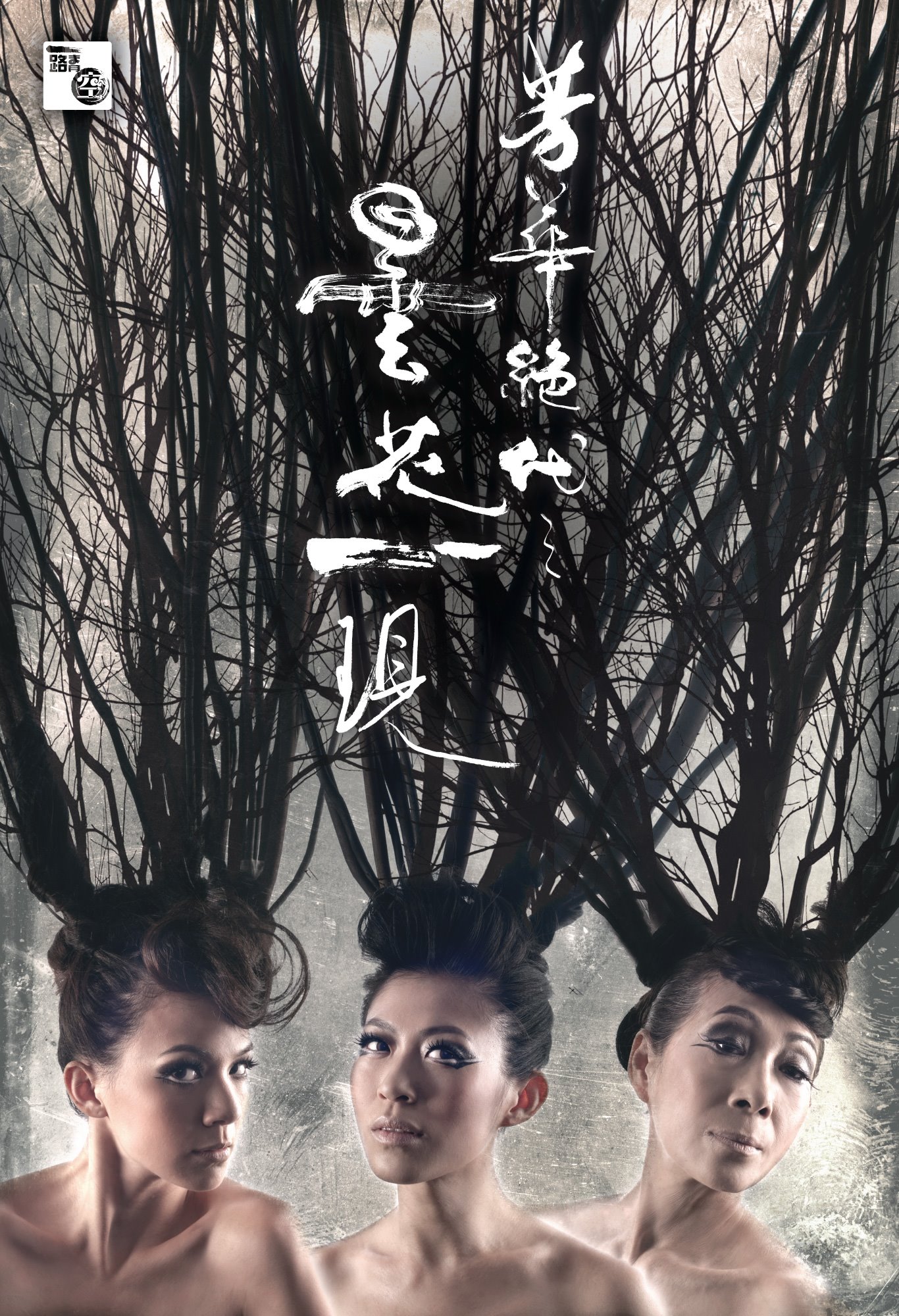 芳華絕代之曇花一現 - Drama Poster