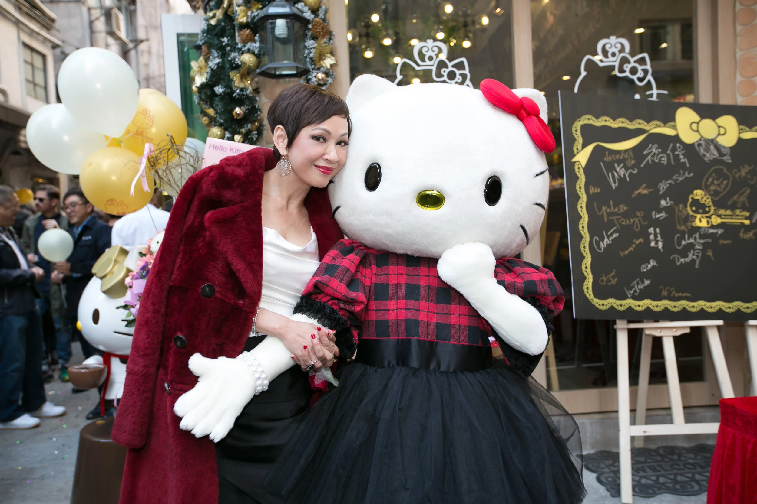 20141221-Kitty-0195.jpg