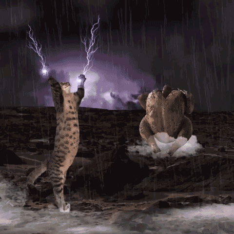 BAKING MY CHIKEN IN THE OVEN BE LIKE…
