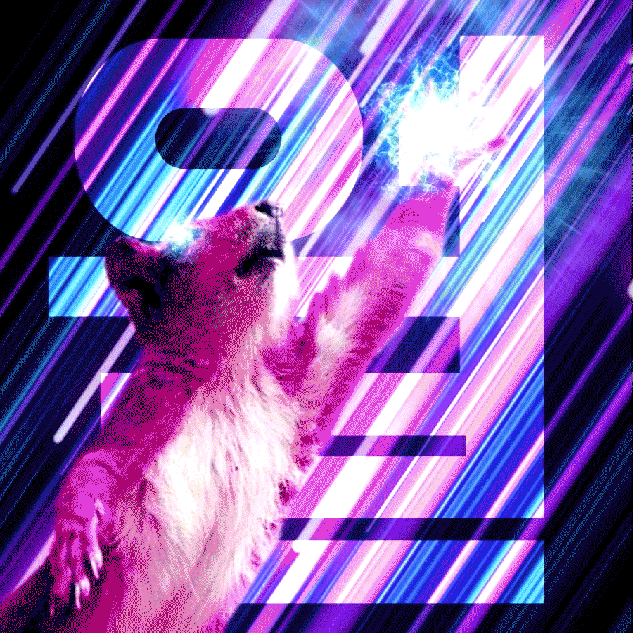 Untitled-2.gif