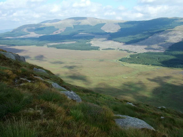 landscape.jpg