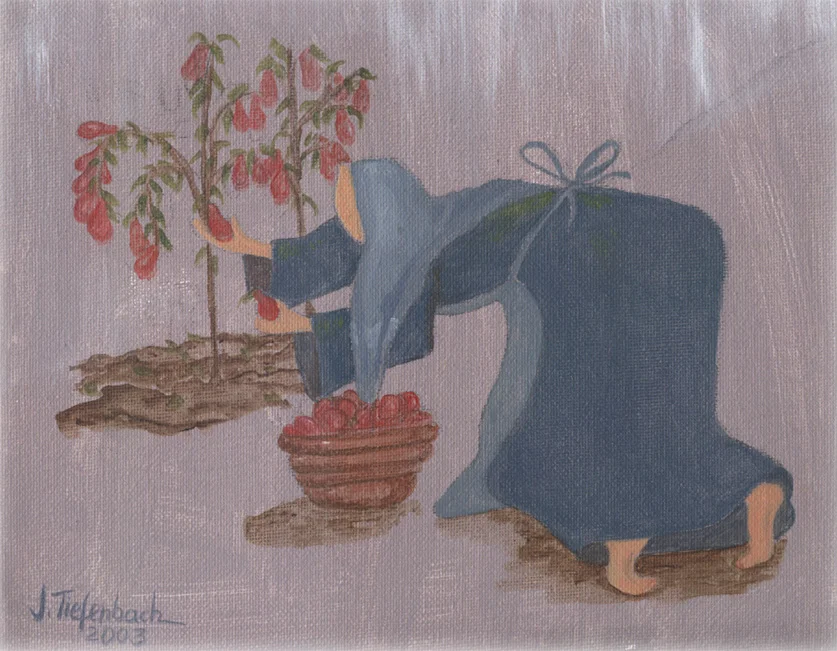 9 Gathering tomatoes copy.jpg