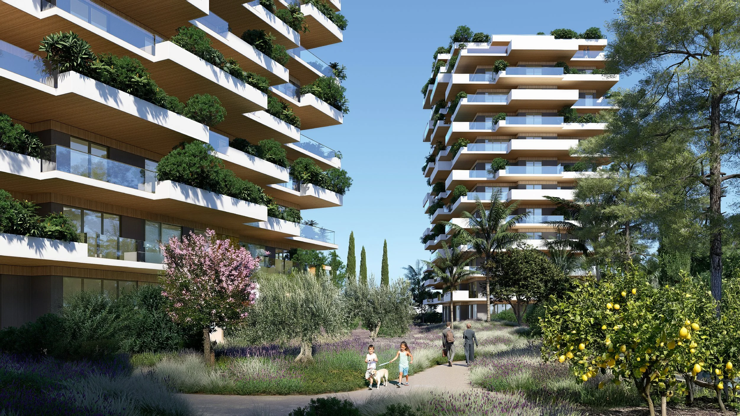 SQ1_athens hills_web_3.jpg