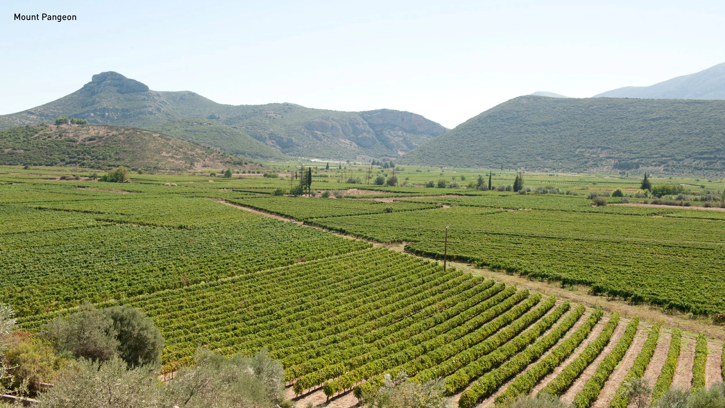 SQ1_VILLAGE + masterplan Web23.jpg