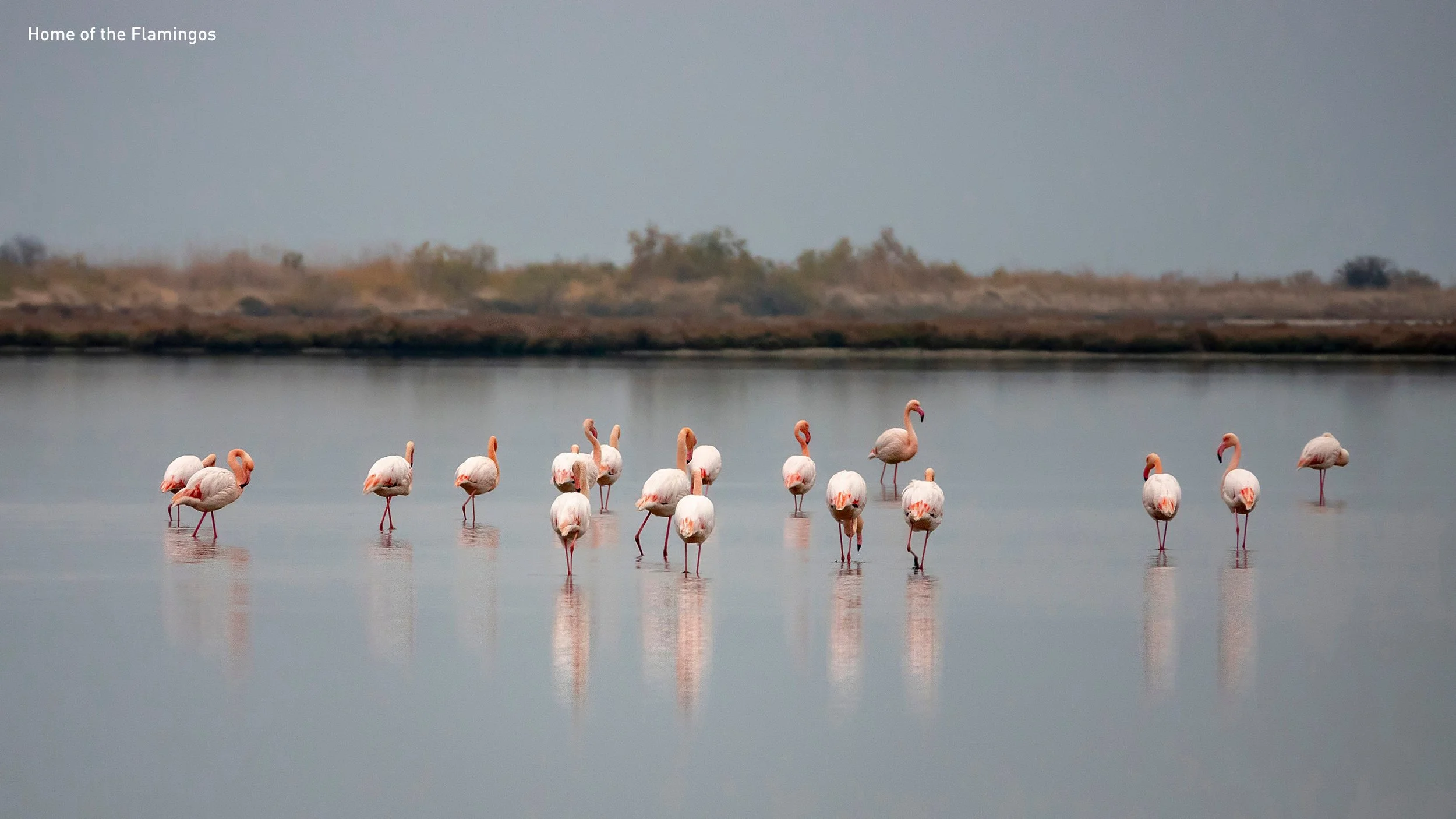 SQ1_VILLAGE + masterplan Web25.jpg