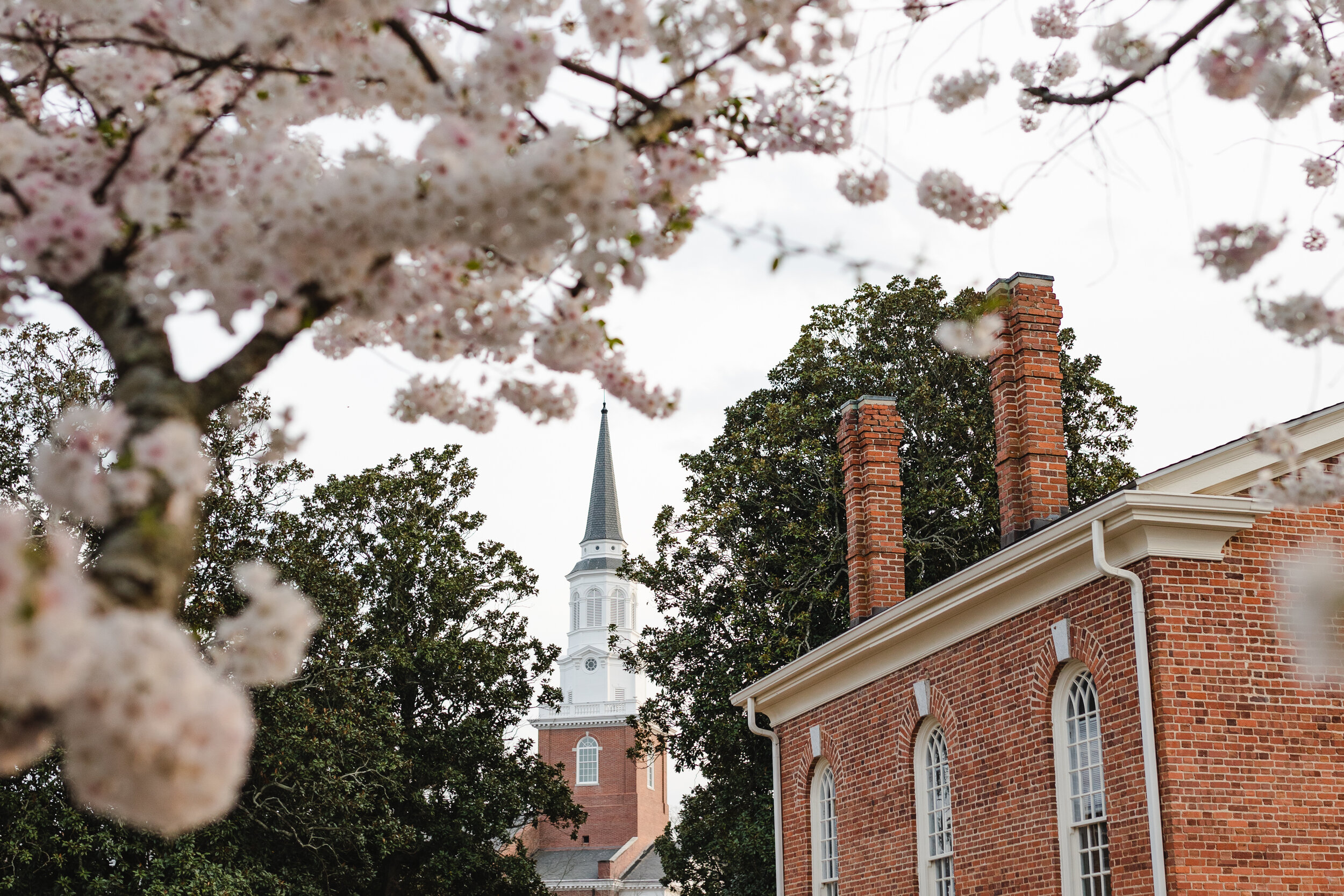 Campus_Spring_Flowers_March_2020_47 copy.jpg