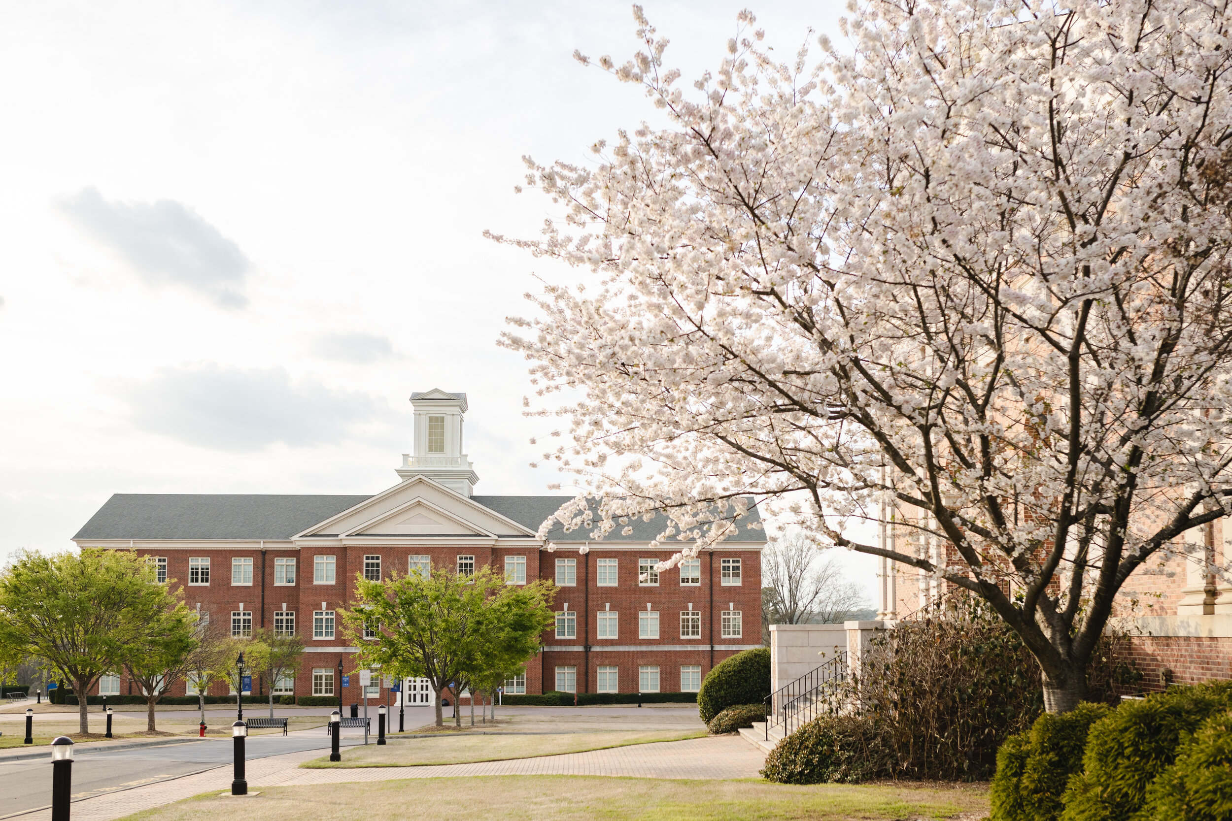 Campus_Spring_Flowers_March_2020_18 copy.jpg