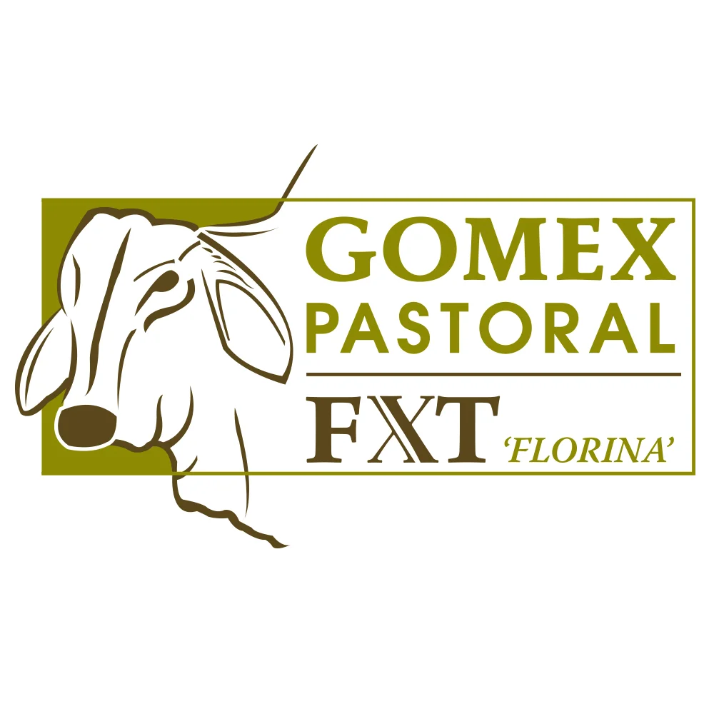 gomex.jpg