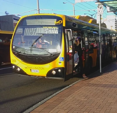You are correct, this is a bus, not a boat; it is actually a Wellington trolley bus; they are lovely clean and quiet; why a bus? have a look at the text next to it