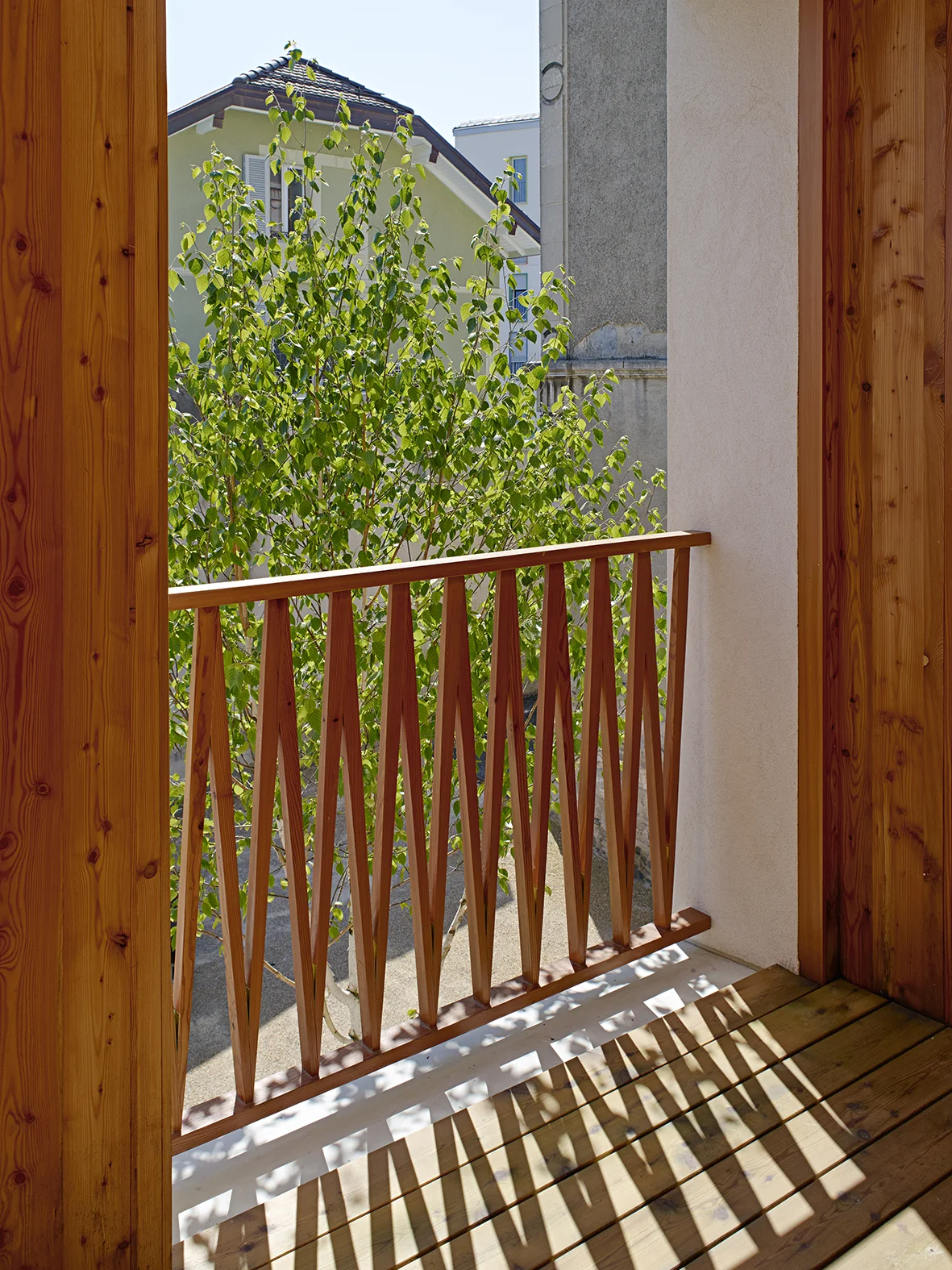 CF002036-100.jpg