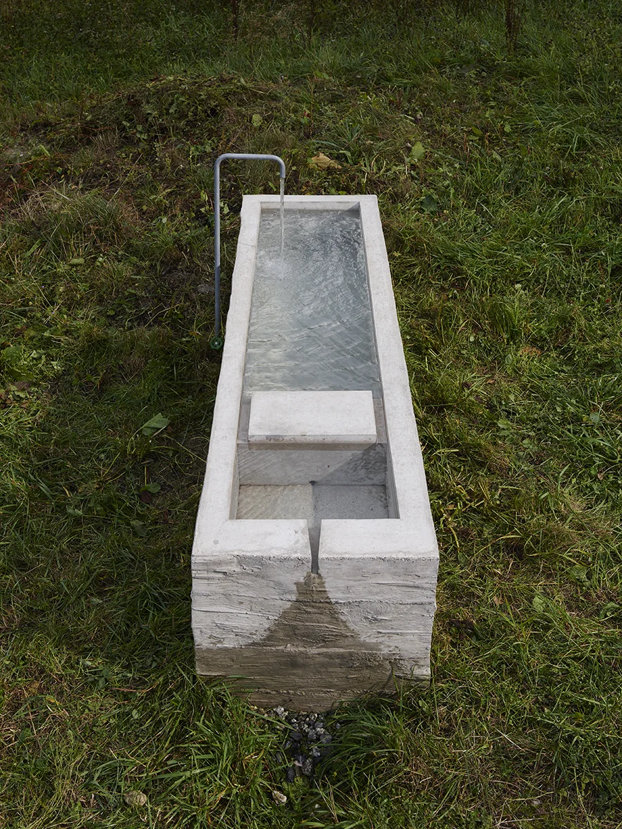 CF021026.jpg
