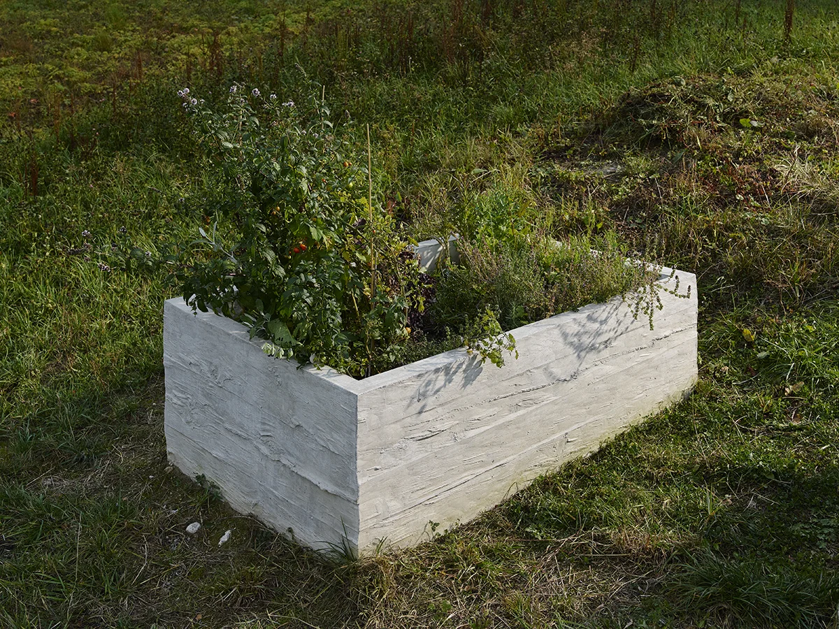 CF021159.jpg