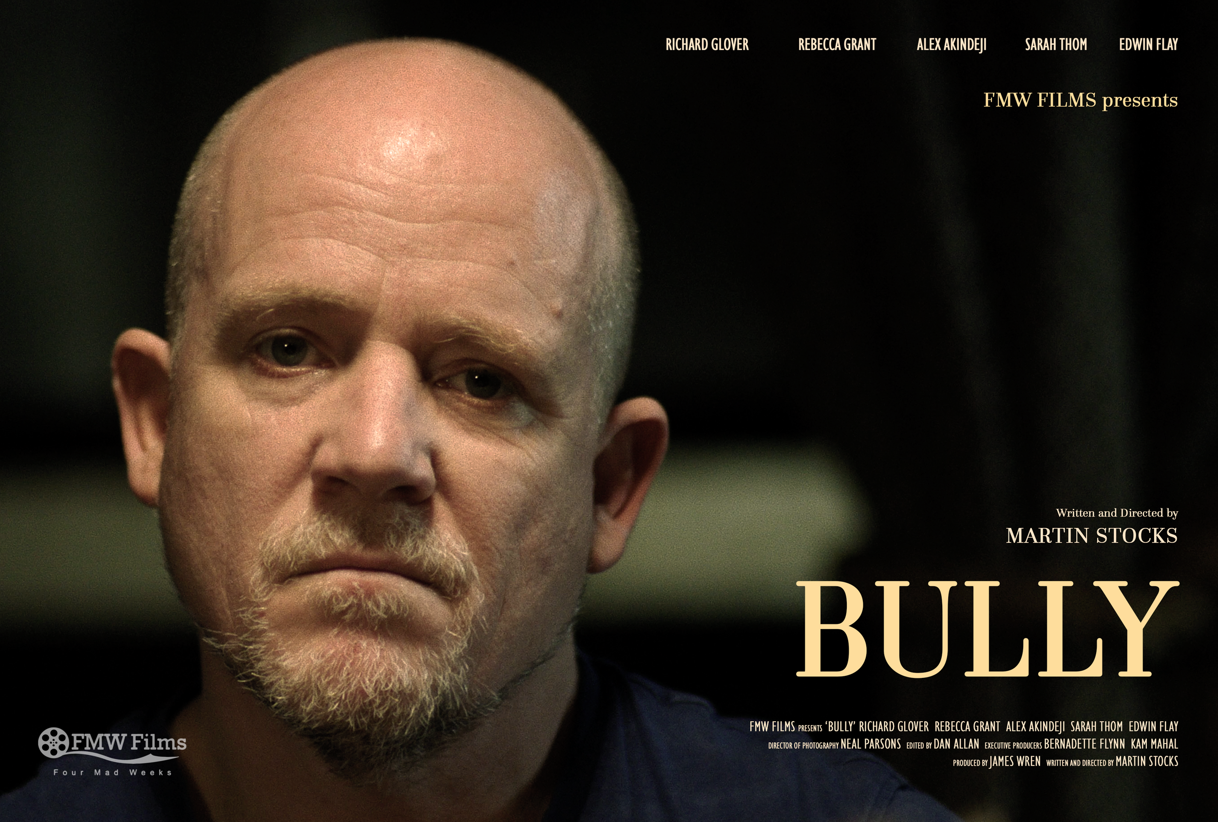 Bully - Martin Stocks