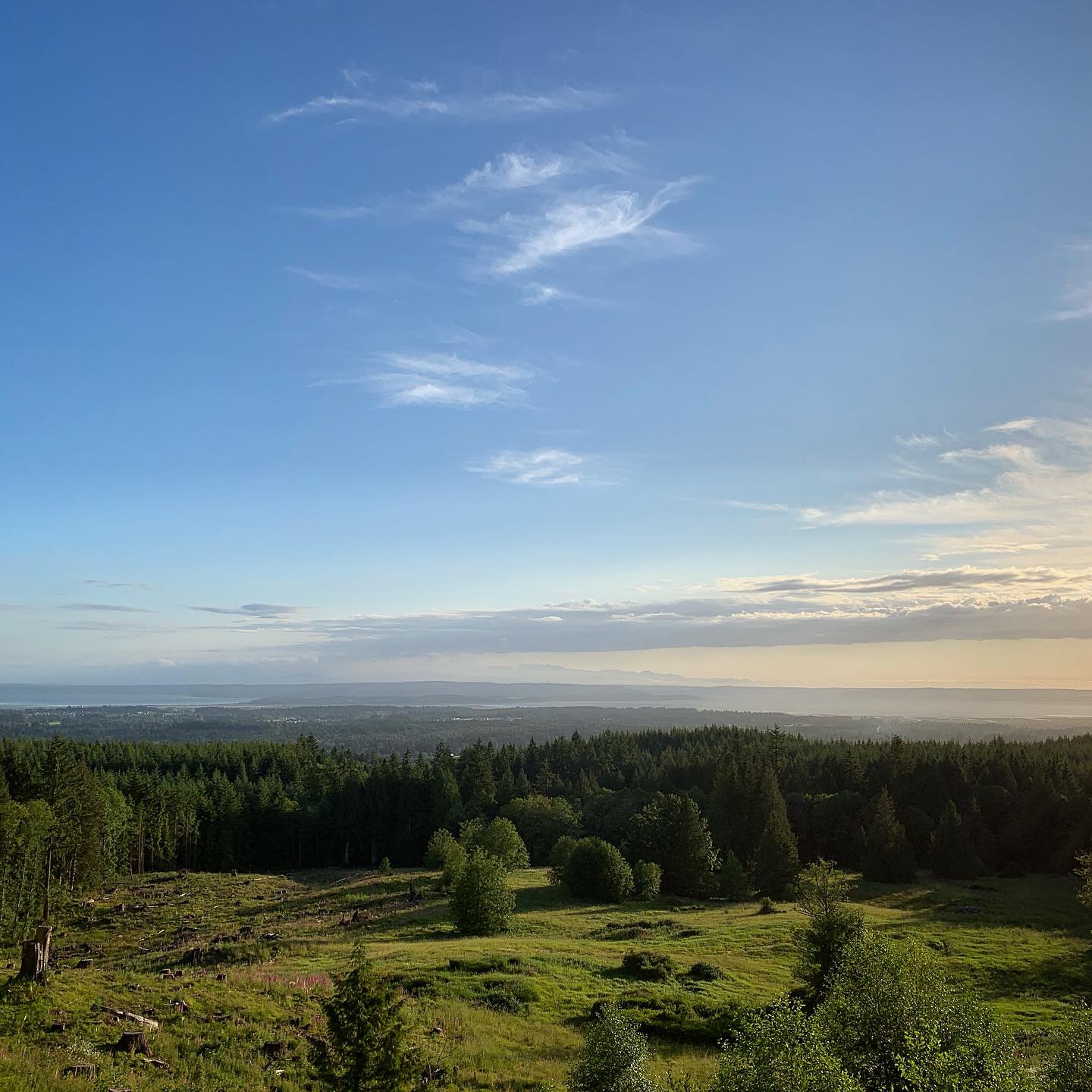 Beer + Glass: A Field Trip