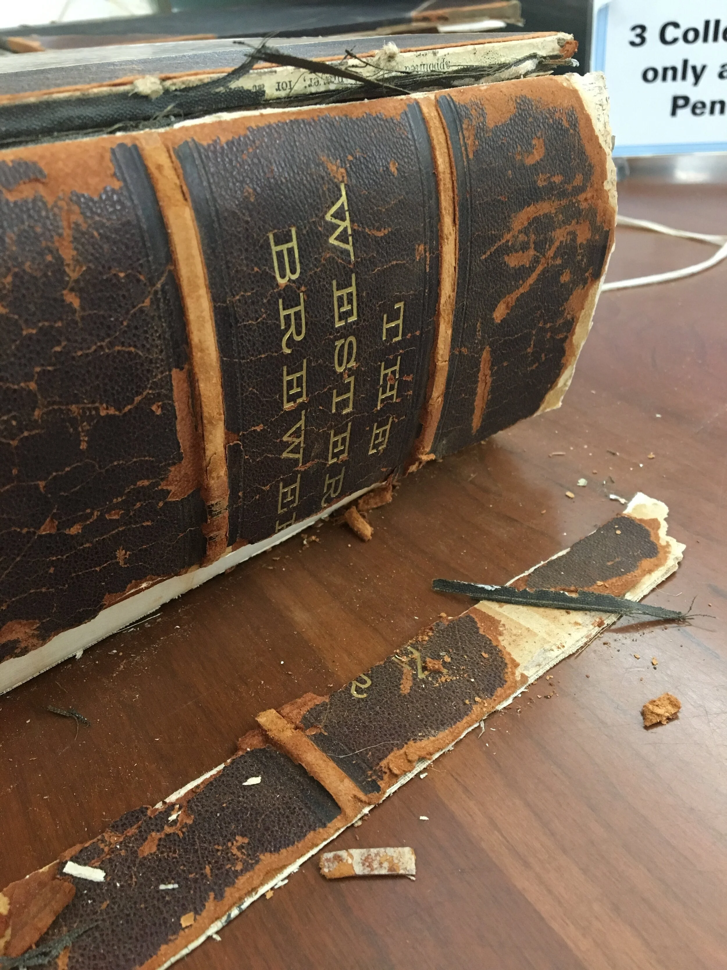 Under-Attenuated: Women, Beer History Studies and Representation