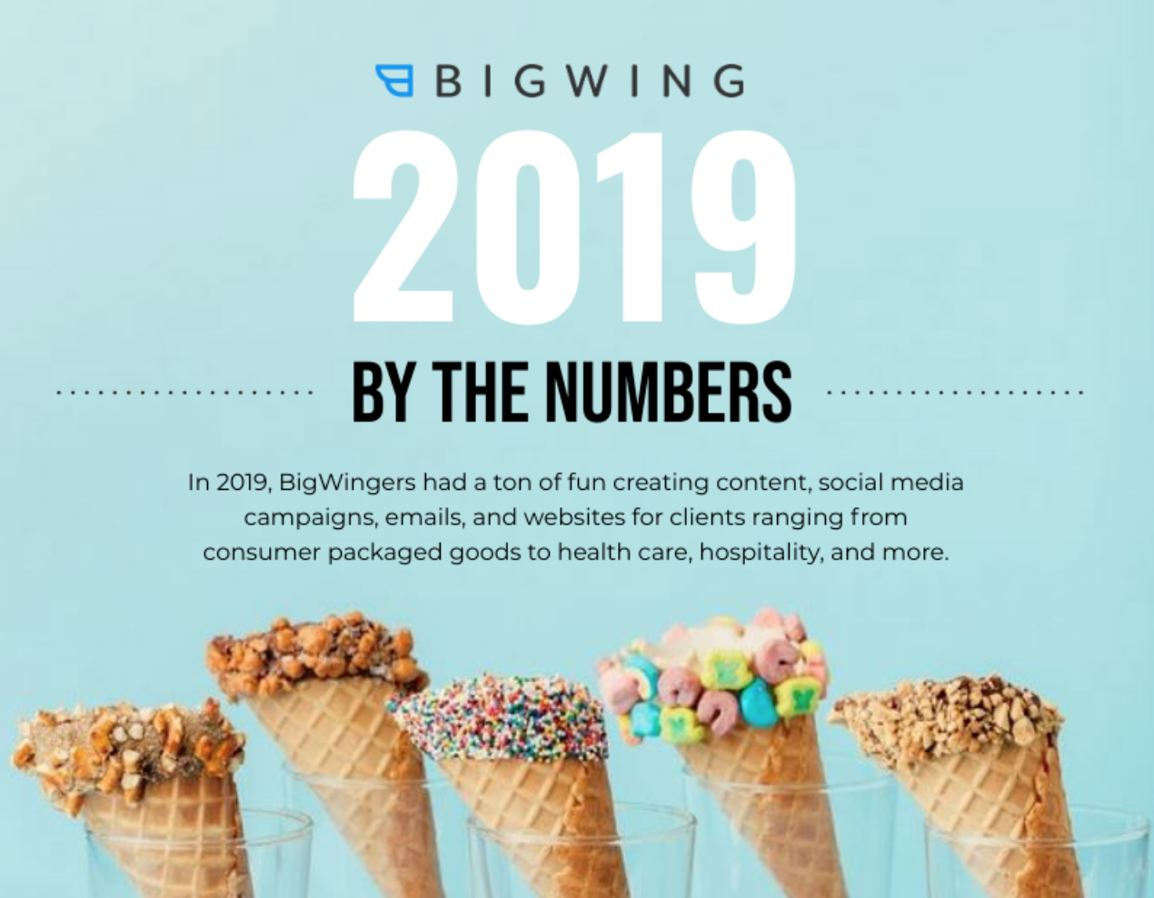 BigWing's 2019 Year In Review | Infographic