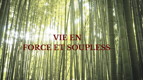 La Vie EnFORCE et SOUPLESS.png