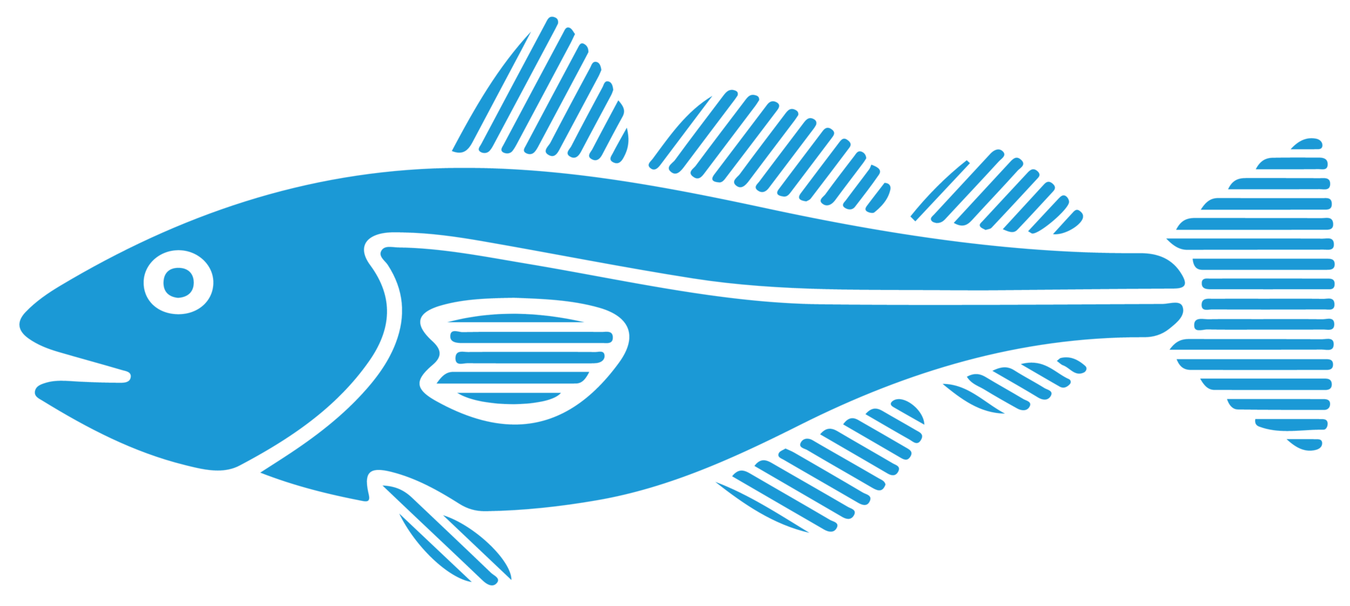 Рыба схематически. Рыба вектор. Рыба Векторная Графика. Векторная рыбка. Вектор рыба море.