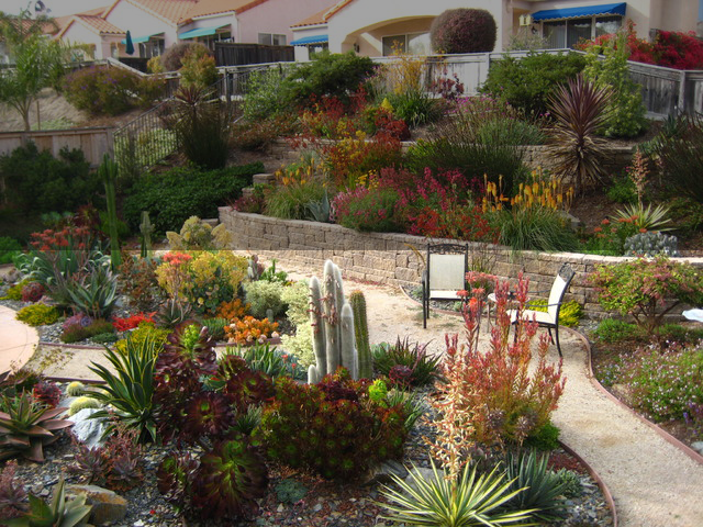mediterranean-landscape-5.png