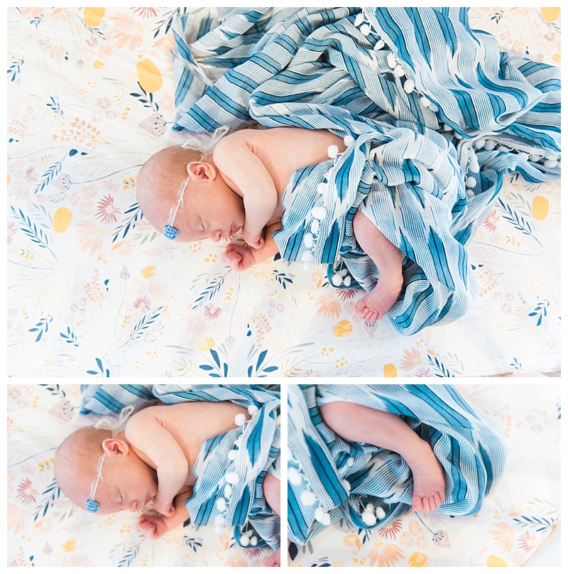 10Whitney Marie Photography. Austin Newborn Photographer.jpg