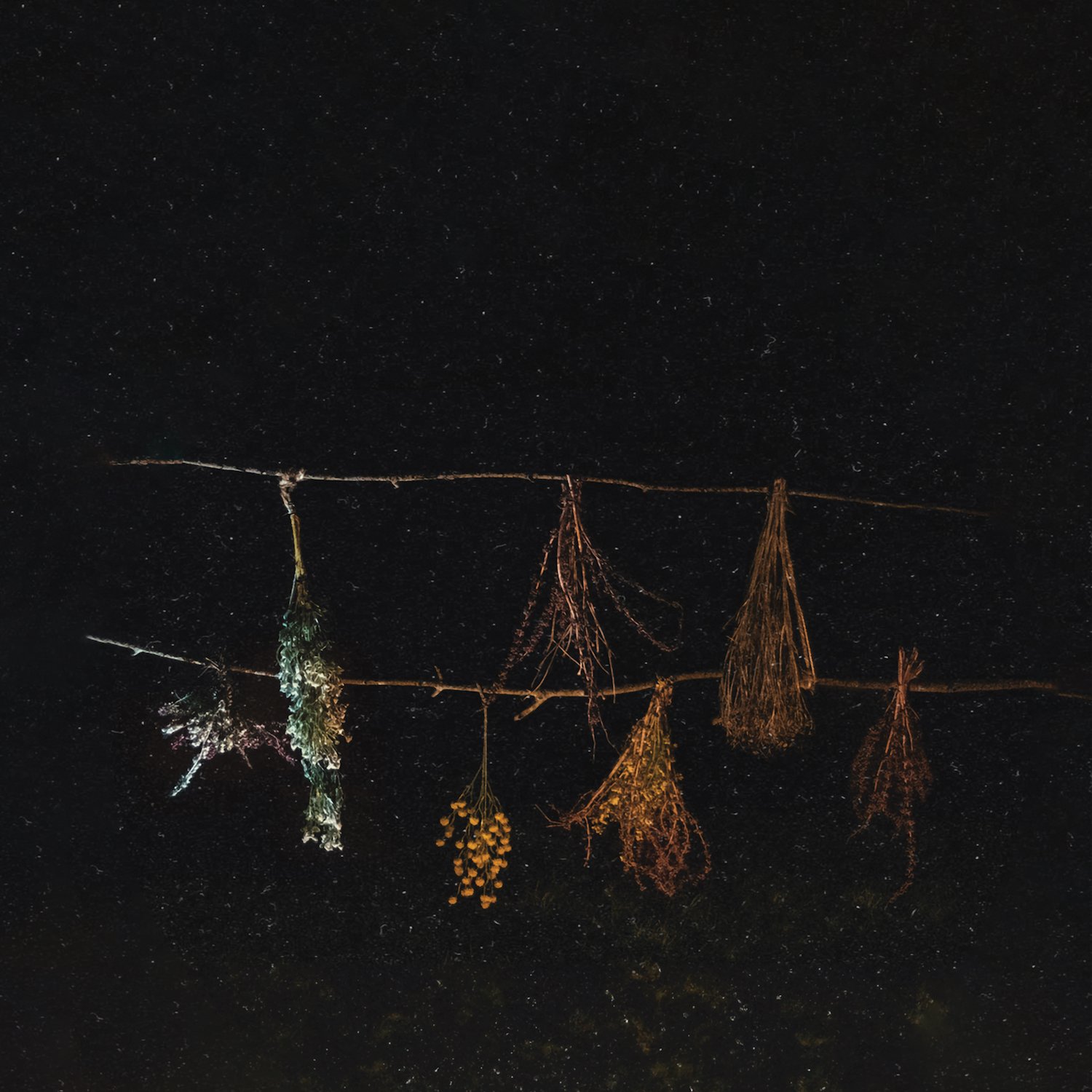 BOHCDS030 - small.jpg