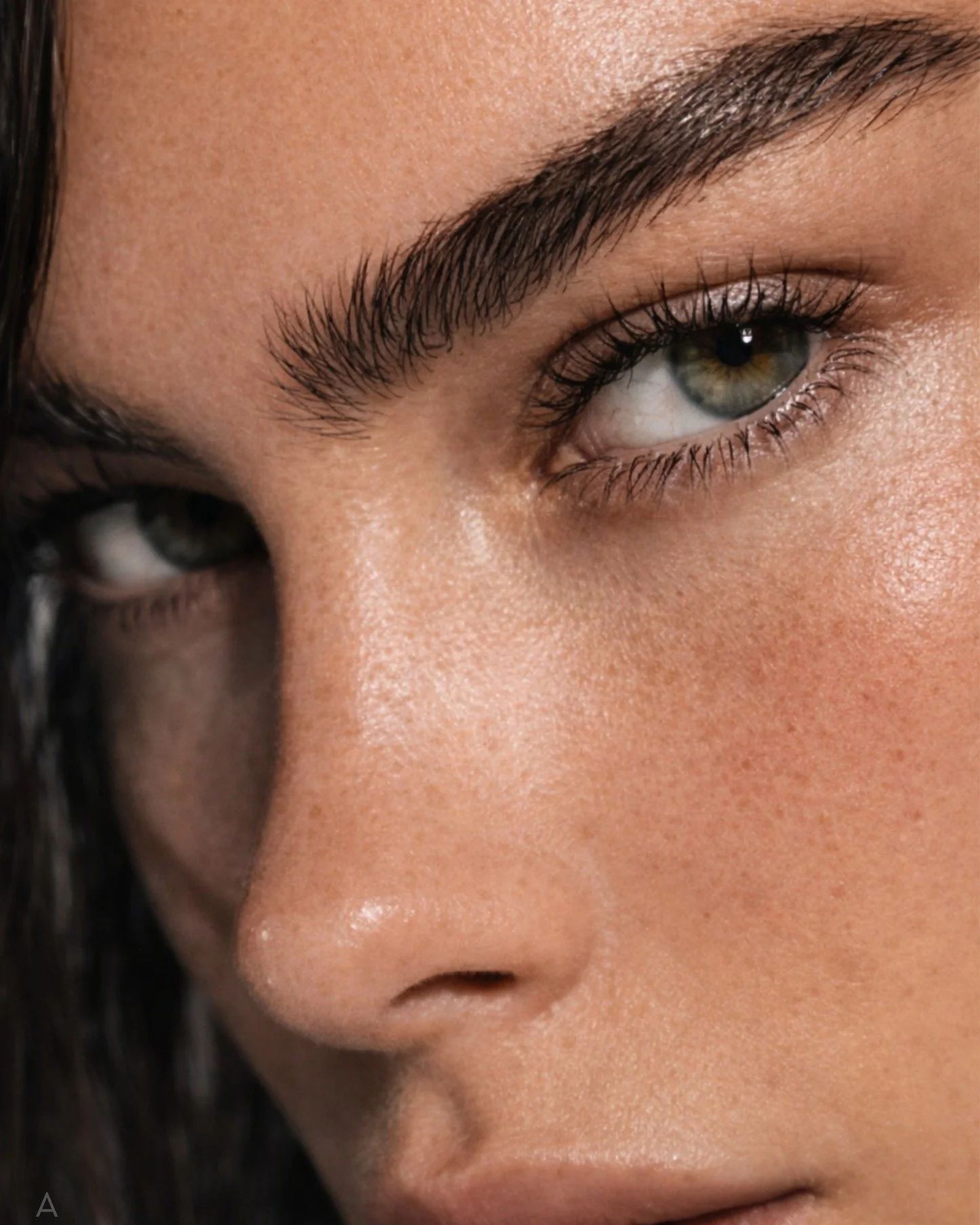 Brows define the look. We define the standard. ✨

From high-fashion editorial to everyday perfection, our Signature Brow Styling paired with Natural Brown delivers tailored results for every client. 🤎

With 120 million tubes sold and 3.6 billion app