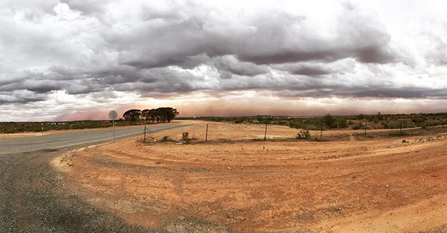 Another dust storm about to hit. #quandong#quandongjam#brokenhill#quandongfarm#desertpeach#superfood#bushtucker#localproduce#vitaminc#improveyoureyesite#driedfruit#australiannative#nativefood#wildpeach#healthiswealth#thisisaustralia#santalumbrokenhil