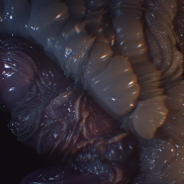 From BIOME_three

Sound up 🔊 .
.
.
.
.
BIOME 016b
#zbrush #c4d #cinema4d #bioabstraction #arnoldrenderer #dailyrender #everydayrenders #everyday #progressbeforeperfection #biome