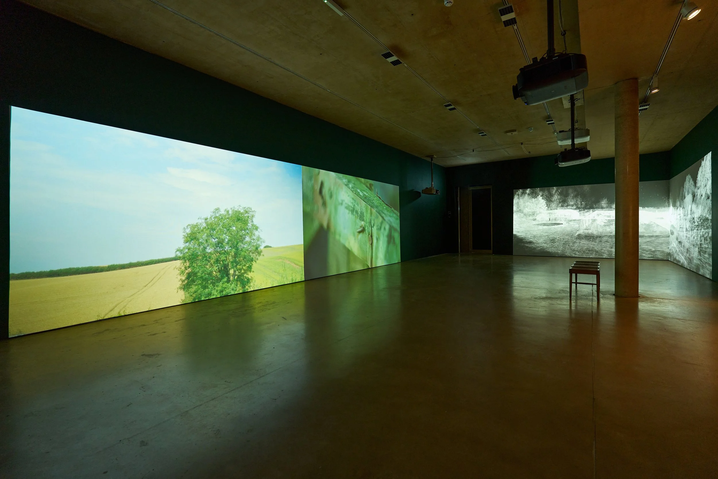alice ladenburg angle 1_46_Lo Res.jpg