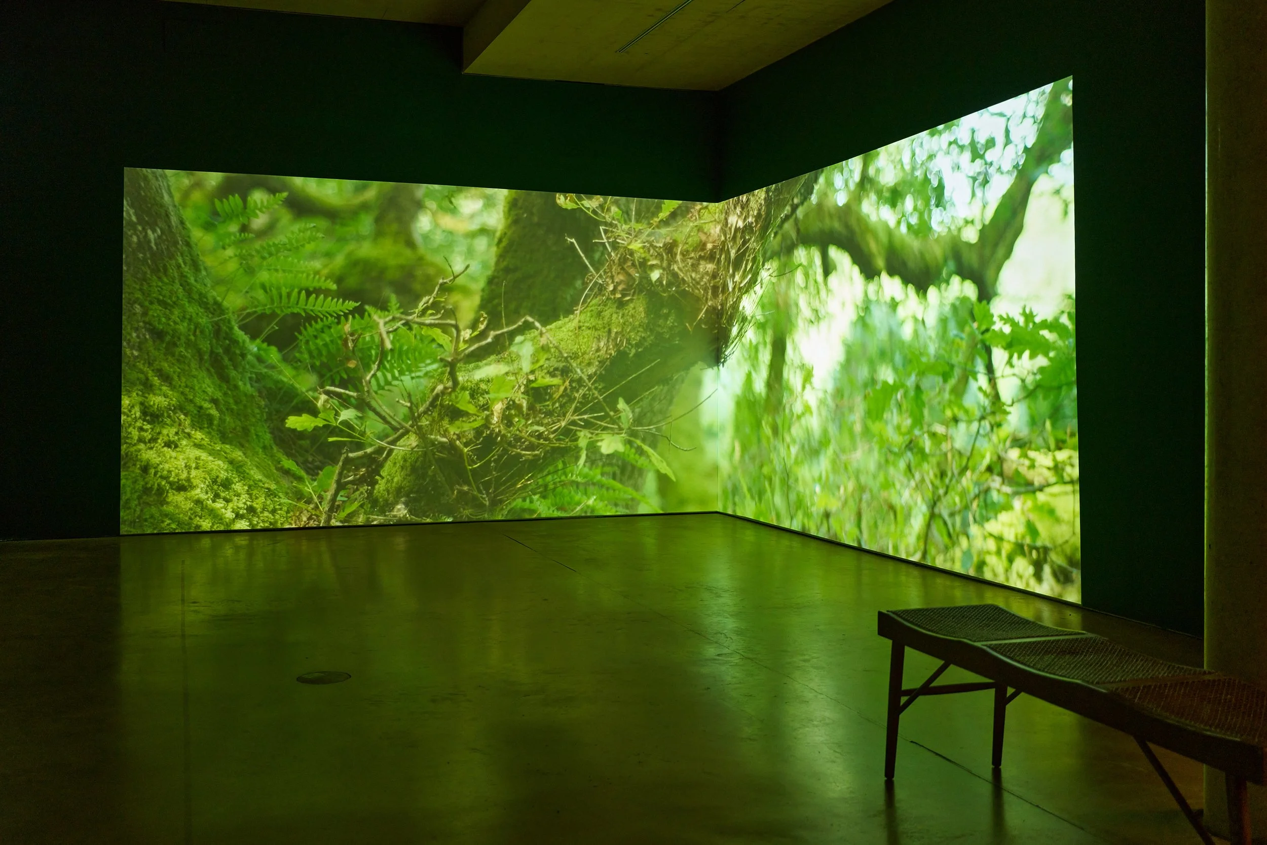 alice ladenburg angle 4_06_Lo Res.jpg