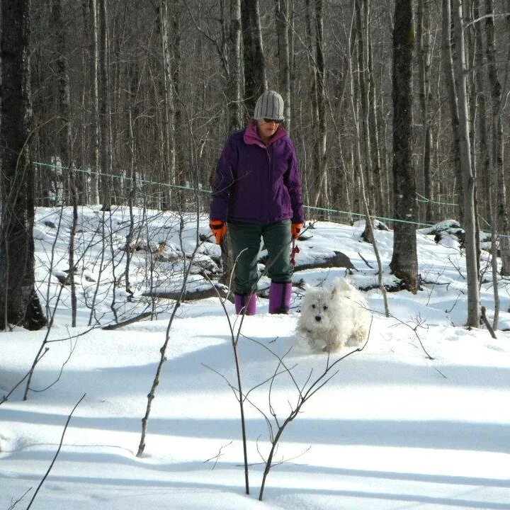 Jodi Gale and pup Luna walking through the snow in the sugar bush
