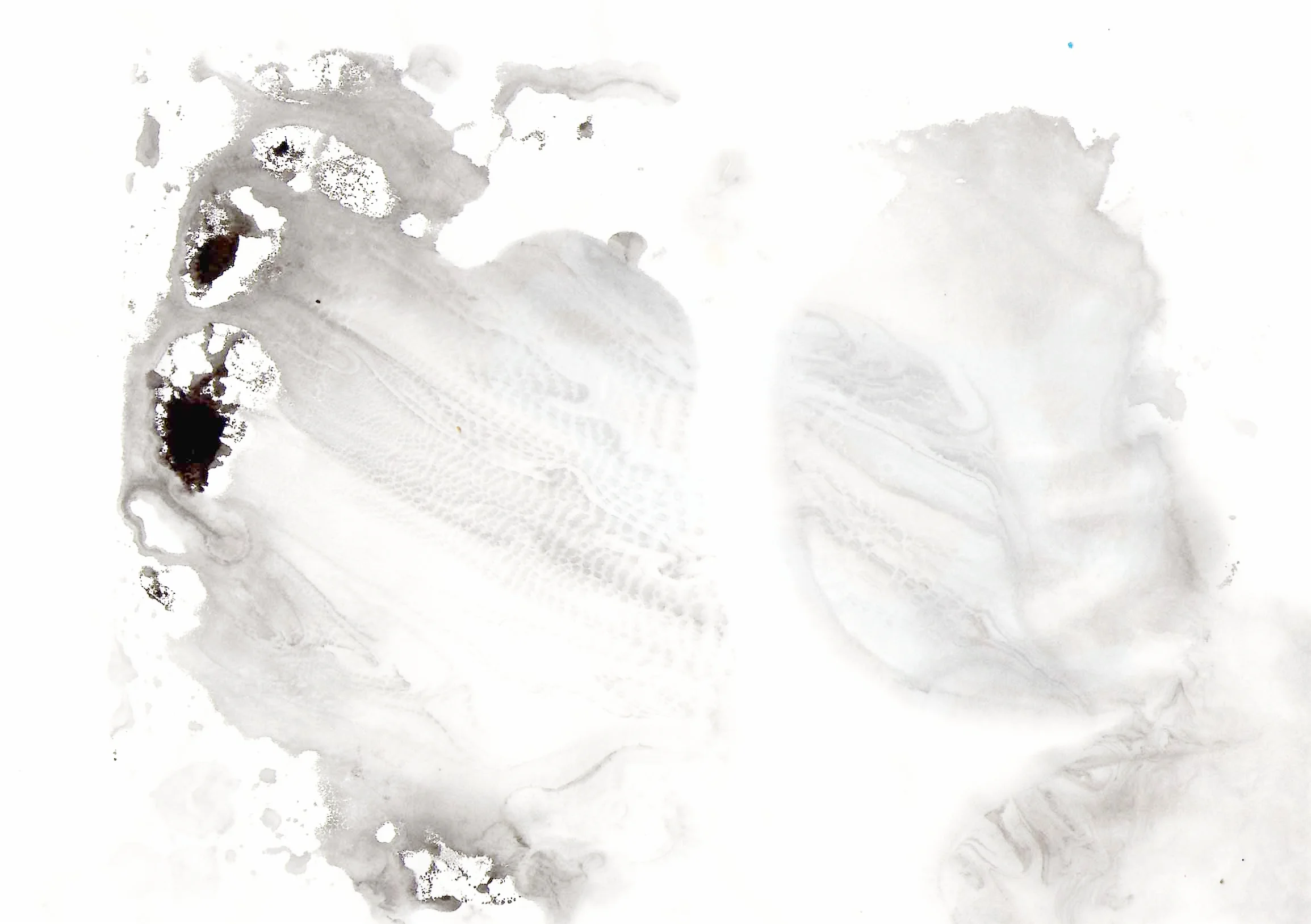 grey ripple .jpg