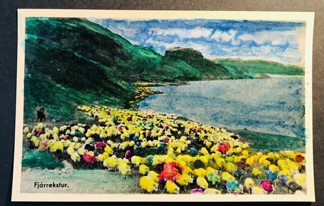 Send me a postcard-Wake up sheeple 